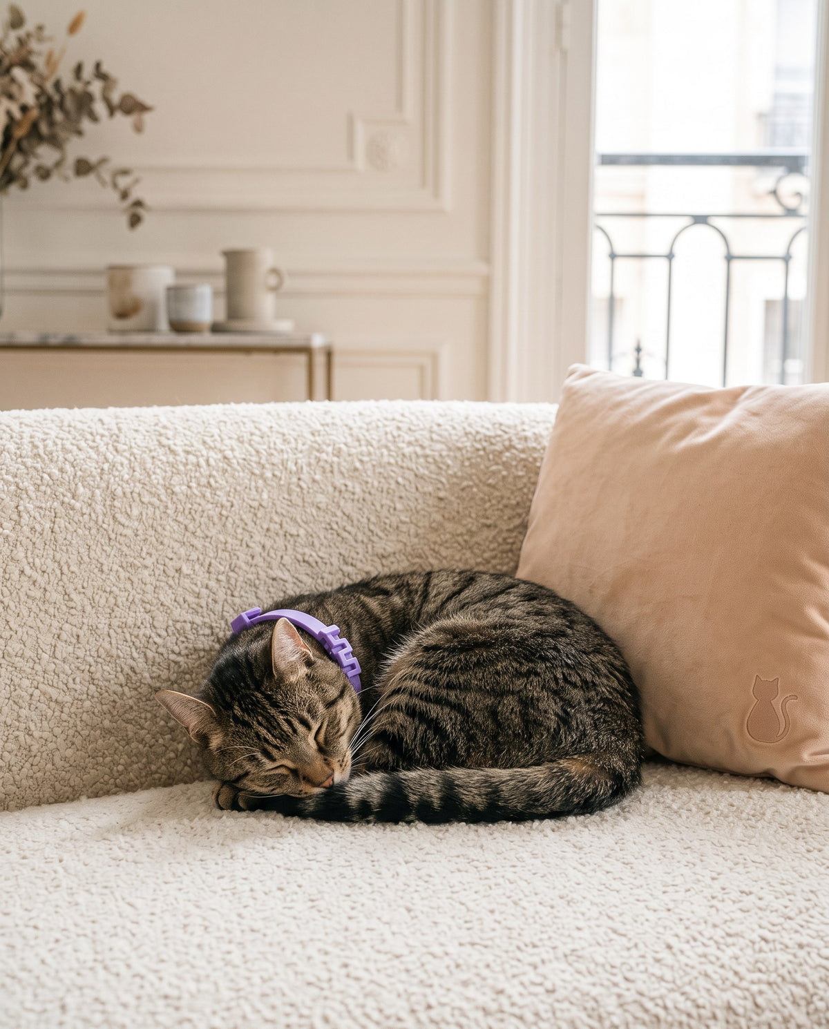 Collier apaisant pour chat